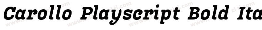 Carollo Playscript Bold ItalicVersi字体转换